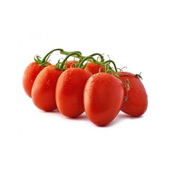 بذر گوجه فرنگی