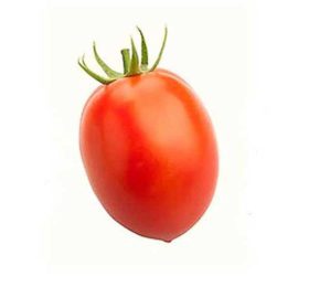 بذر گوجه فرنگی