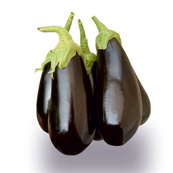 بذر بادمجان لامپی
