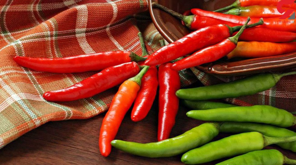 بیماری های فلفل
