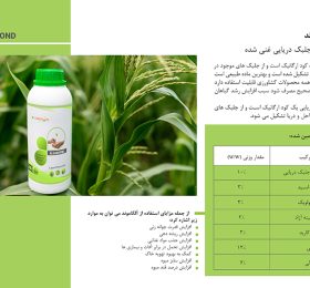 کود آلگاموند